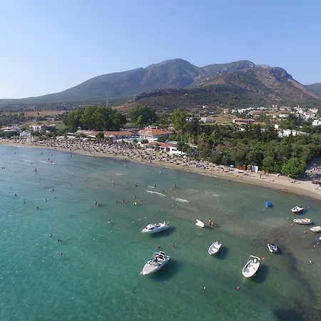 Mercan Datça