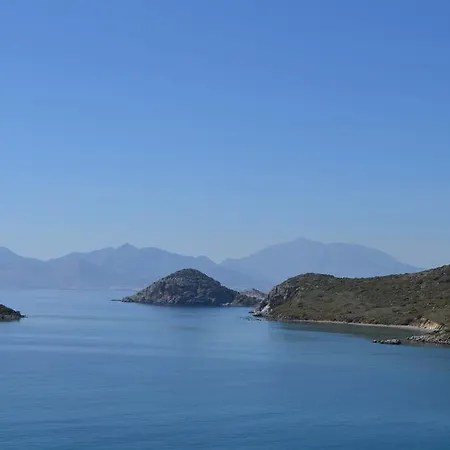Mercan