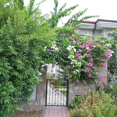 Mercan * Datca